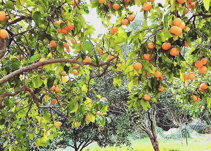 Appartement Libecciu